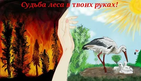 Давайте сохраним картинки
