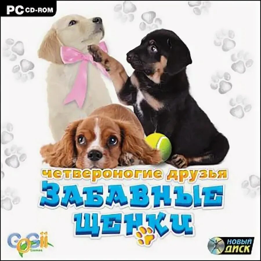 Четвероногие друзья новые. Четвероногие друзья спб. Четвероногие друзья новые. Четвероногие друзья новые. Детские игры с собаками.