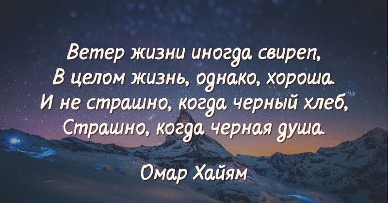 Смысл жизни человека цитаты. Смысл жизни человека цитаты