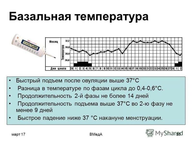 Овуляция в 40 лет. Измерение базальной температуры производят для определения. Базальная температура перед месячными. Измерение базальной температуры для определения овуляции график. Базальная температура норма.