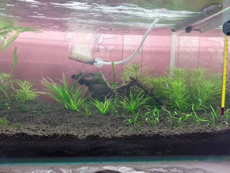 Вывод формулы давления жидкости. Давление в аквариуме. Давление в аквариуме. Рассчитайте давление воды в аквариуме на рыбу. Аквариум для рыбок с увеличительным стеклом.