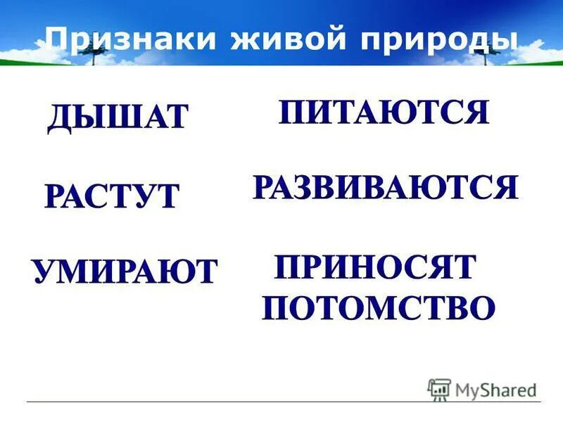 5 признаков природы