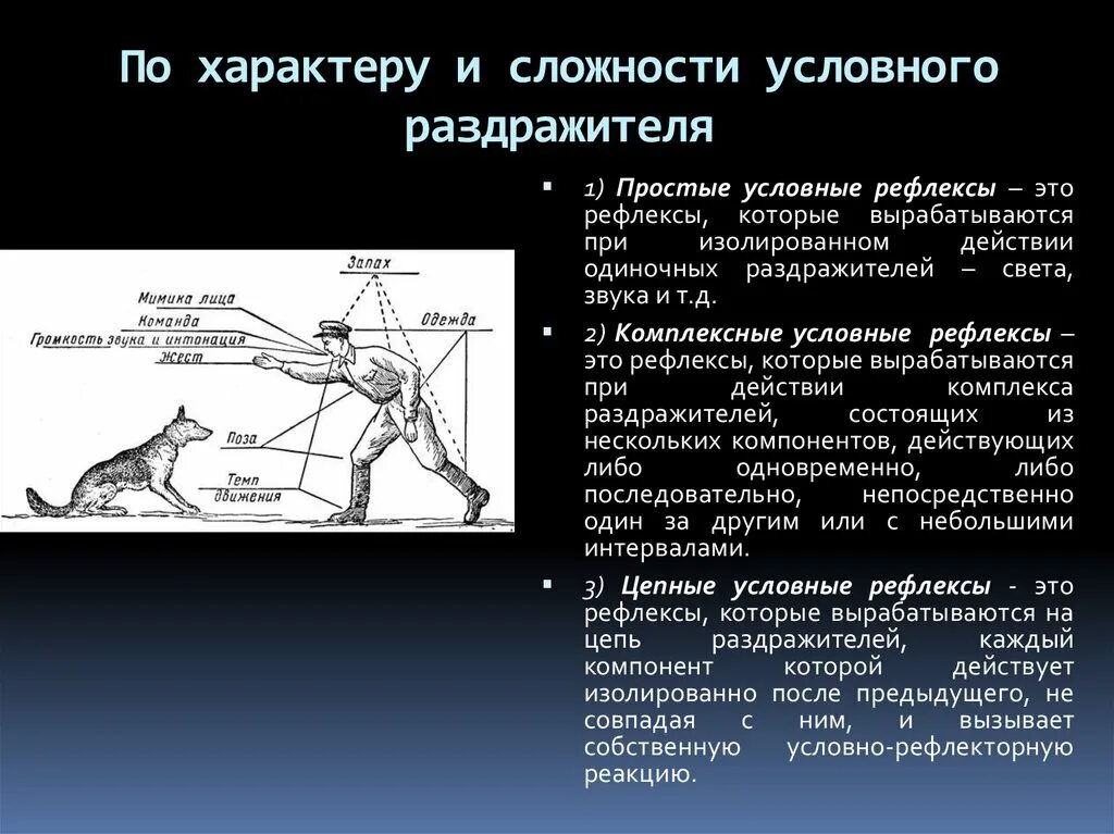 Как подавить рефлекс. ВНД рефлексы. Условные и безусловные рефлексы физиология. Условный рефлекс физиология. Условные рефлексы примеры.