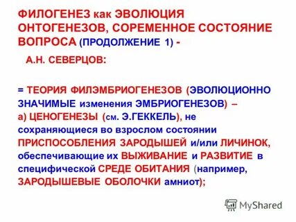 Онтогенез и филогенез