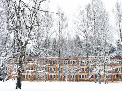 Турбаза пушкиногорье