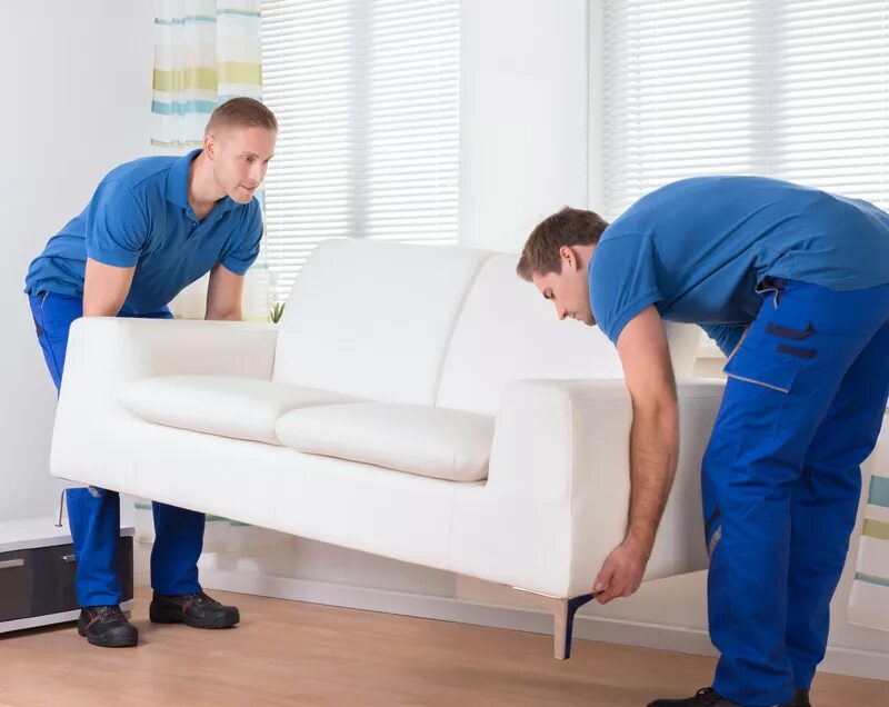 какую мебель можно вернуть. возврат мебели по закону. некачественная мебель. возврат мебели в магазин. возврат мебели по закону.