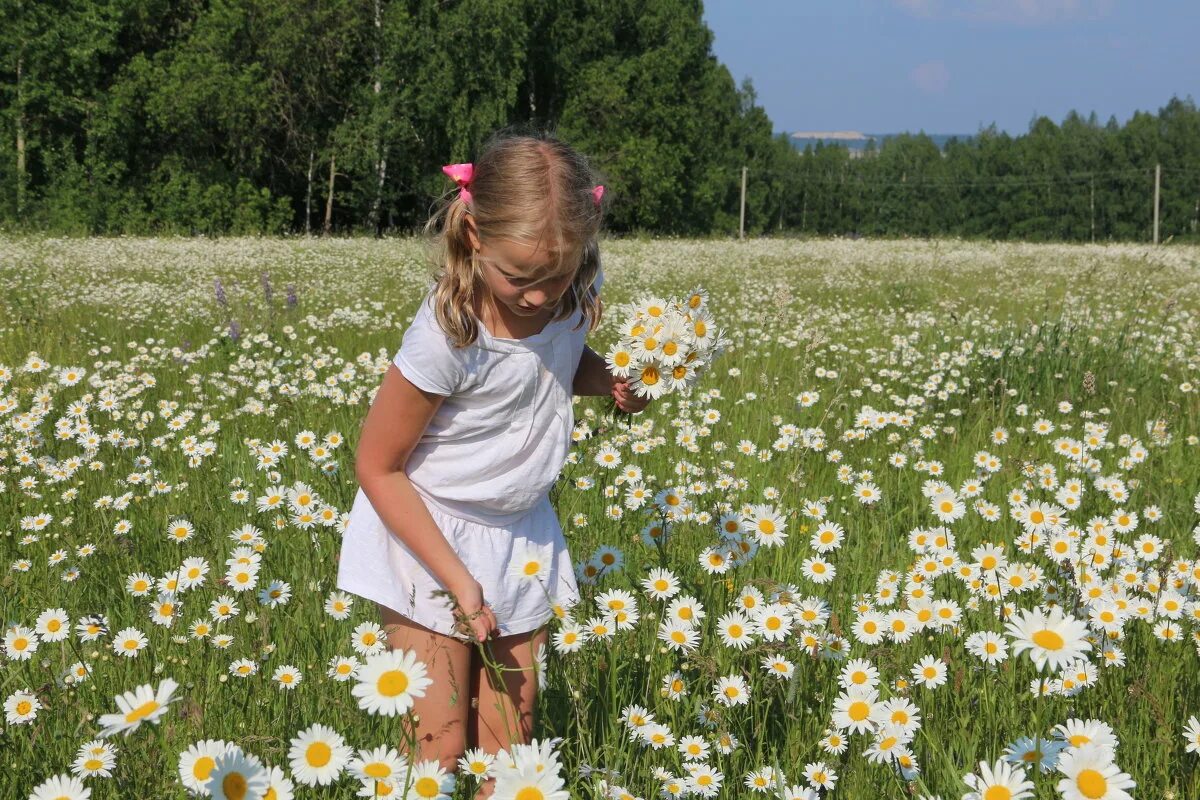 Соберем в поле цветы. Дойченко. Соберем в поле цветы. Девочка с цветами. Фотосессия в лугах.