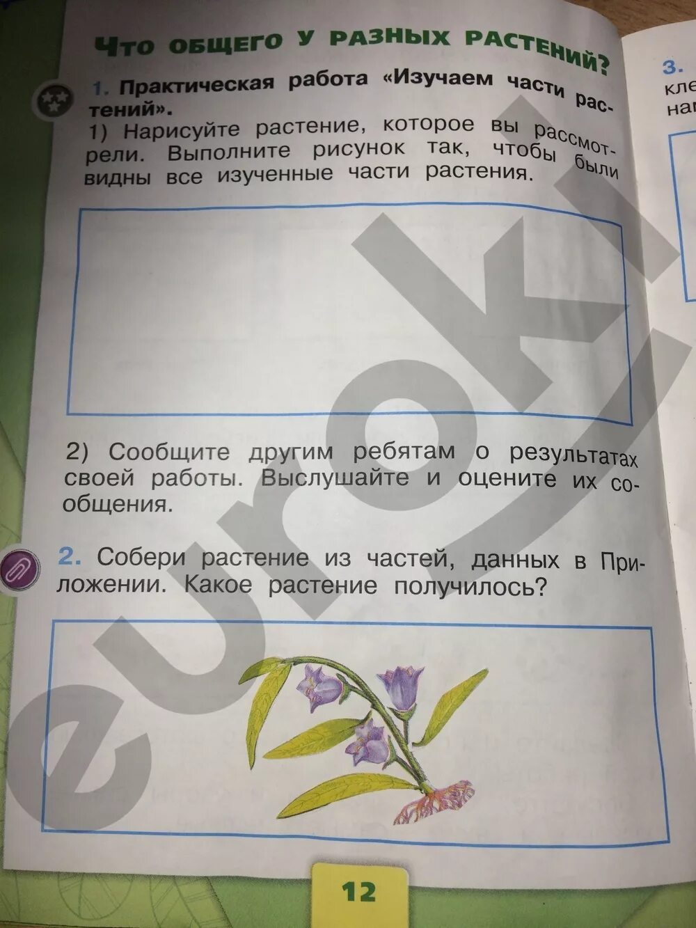 Домашнее задание по окружающему миру страница 29. Окружающий мир 1 класс рабочая тетрадь стр 10 задание 2. Окружающий мир 1 класс рабочая тетрадь 1 часть Плешаков ответы стр 10. Окружающий мир 1 класс рабочая тетрадь 1 часть стр 11. Гдз по окружающему миру 2 класс рабочая тетрадь Плешаков 1 часть стр 12.