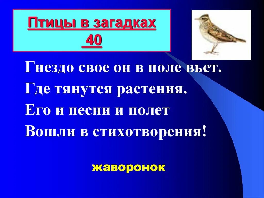 Загадка про жаворонка. Загадка про жаворонка для детей. Загадка про жаворонка для дошкольников. Загадки о Жаворонках.