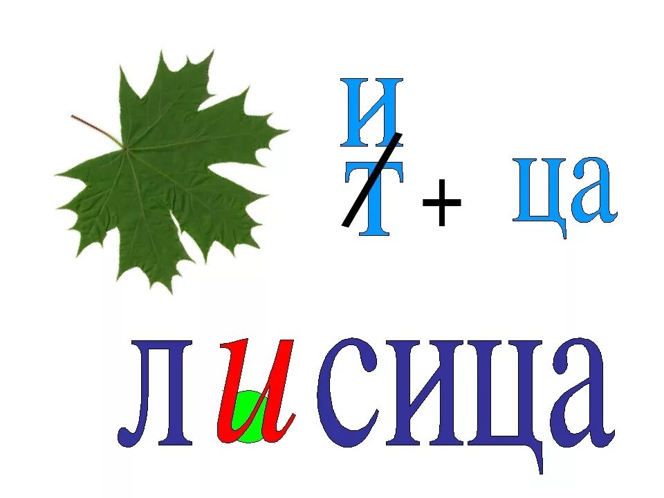 Ребус помидор. Ребусы. Ребусы словарные слова. Ребусы по словарным словам. Ребусы слова́рные слов 3 класс.