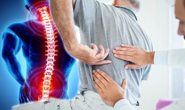 Harder back. Позвоночник фотосток. back pain. дишейд - pain.