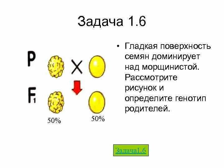 У гороха доминантный признак желтые семена. Задачи на моногибридное скрещивание 10. Моногибридное скрещивание генотип. Задачи по генетике на моногибридное скрещивание 9 класс. Задачи по генетике моногибридное скрещивание 9 класс с решением.