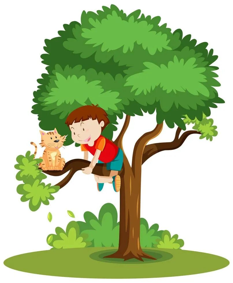 It is not a tree