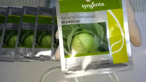 Семена агрессора