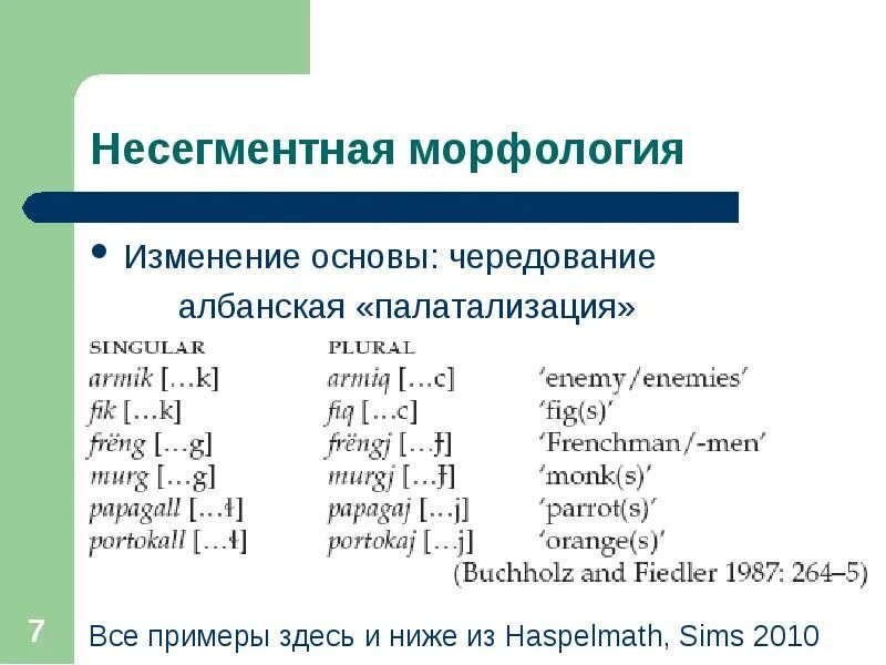 Производная морфема. Палатализация в старославянском языке таблица. Палатализация в старославянском. Примеры палатализации в старославянском. Палатализация согласных в старославянском языке.