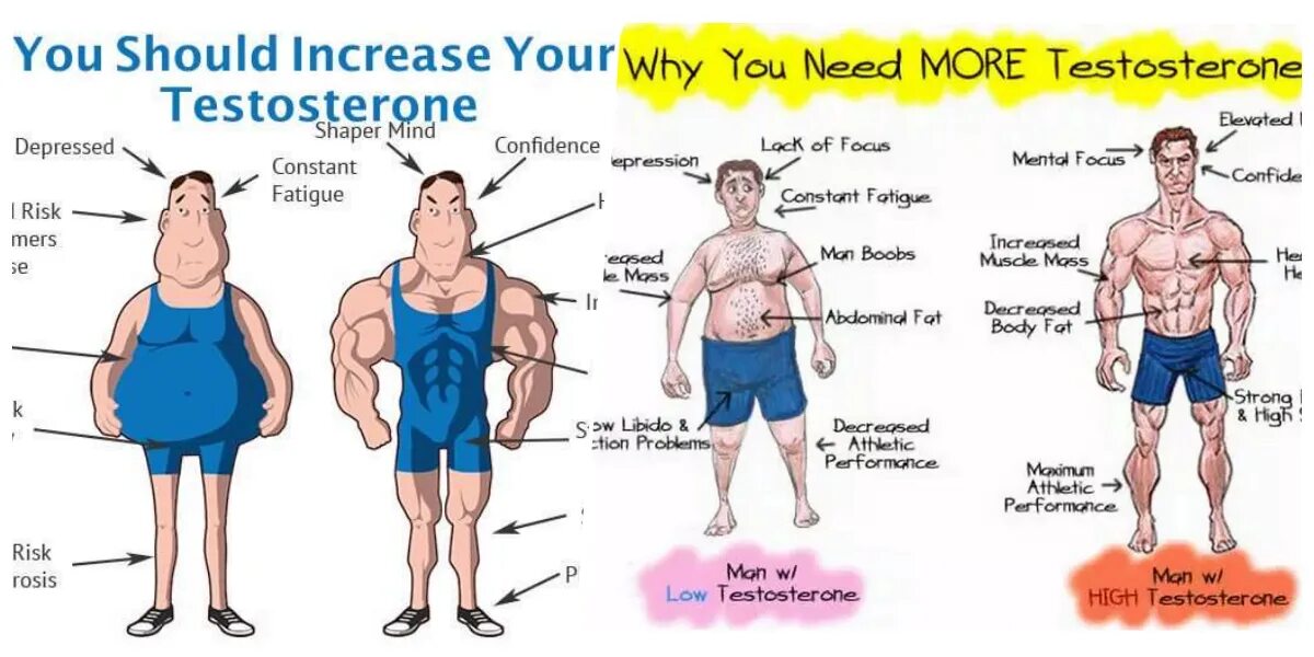 Should increase. Low testosterone. How to increase testosterone. Low testosterone photo. Man face testosterone.