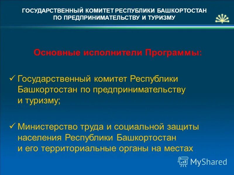 Демография здравоохранение. Государственные программы башкортостан. Государственные программы башкортостан. Государственные программы башкортостан. Виды государственных программ.