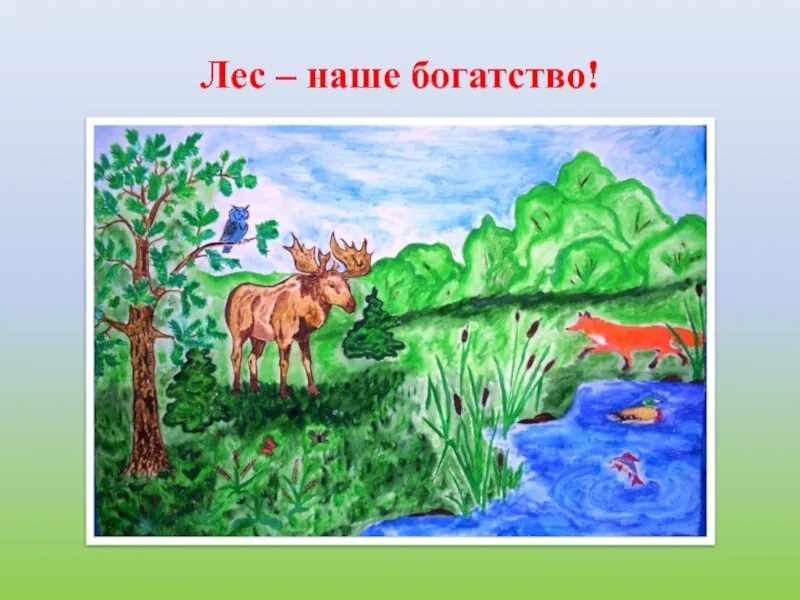 Климат в жизни животных и растений рисунки. Лес наше богатство. Беседа лес наше богатство. Тема лес наше богатство. Лес наше богатство для дошкольников.