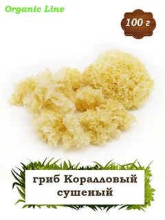 Грибы коралловые сушеные