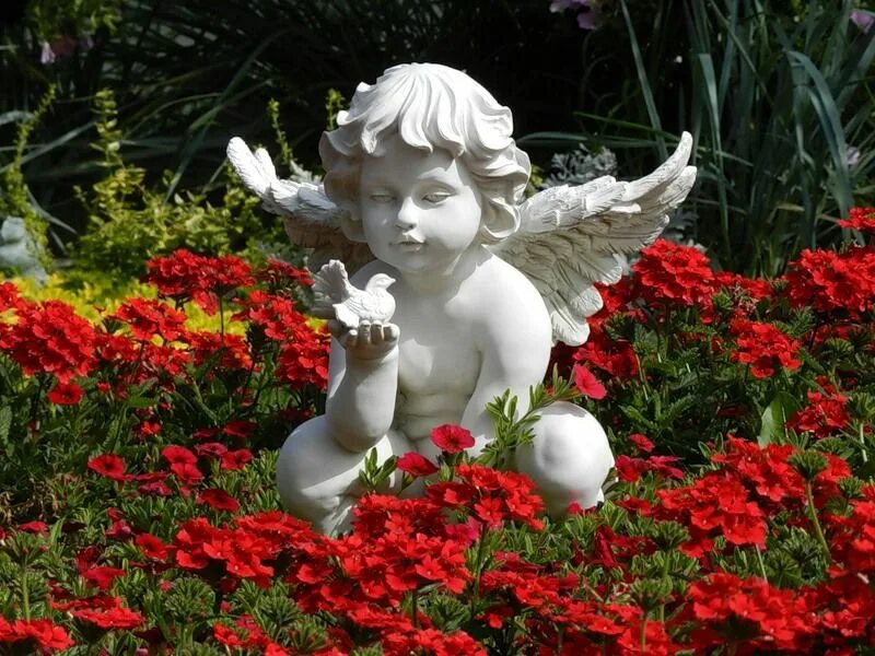 Res angels