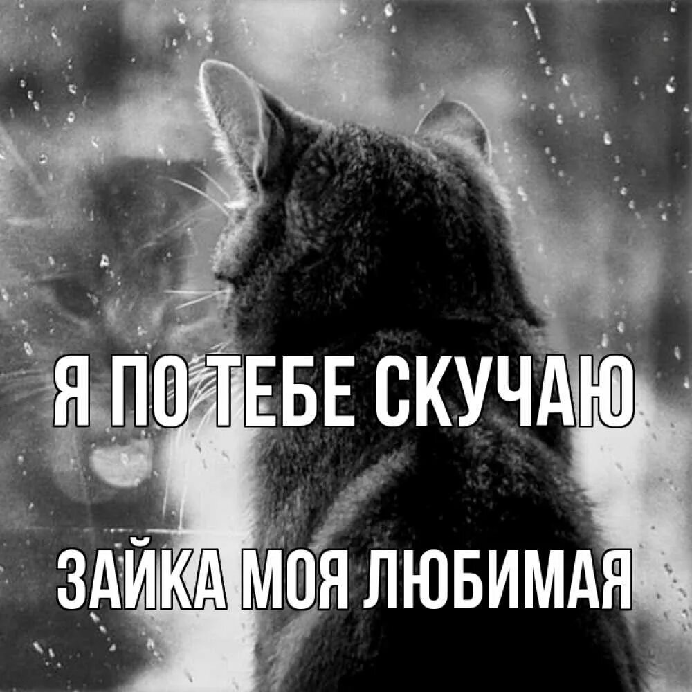 Безумно скучаю по тебе любимый. Безумно скучаю по тебе любимый