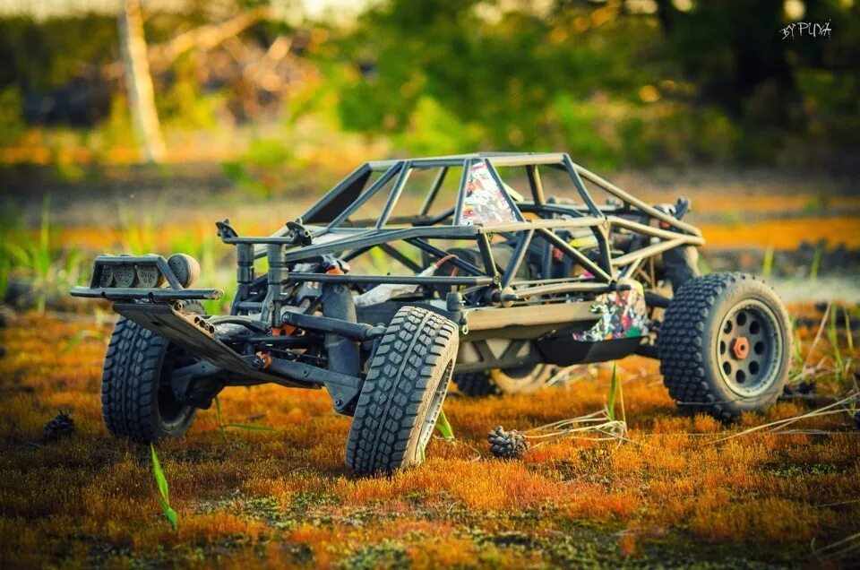 Rc. Багги Baja. RC Buggy. Багги Автомоделизм 1:5. Багги д3 спринт