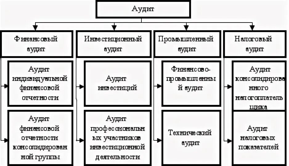 Организация налогового аудита. Виды аудита схема. Виды финансового аудита. Финансовый аудит схема. Налоговый аудит.