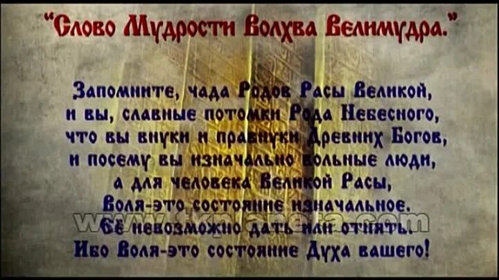 Заповеди славянских богов. Заповеди бога сварога славянские. Заповеди бога сварога. Заповеди славян. Заповеди славянских богов в картинках.