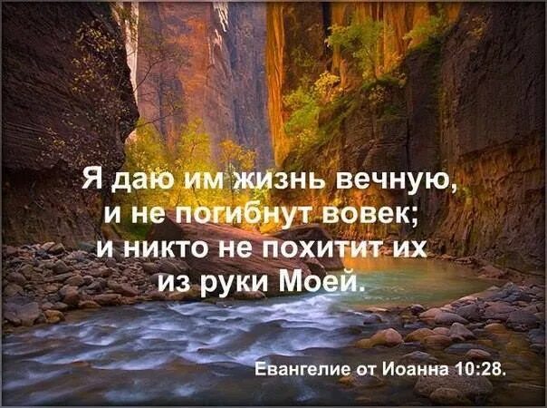 Живущий не вечно 8. И никто не похитит их из руки моей. Жизнь Вечная Библия. Имеет жизнь вечную. Вечная жизнь.