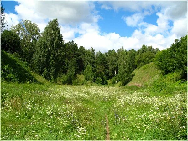 Каменки нижегородская область богородский район. Каменки (Богородский район). Село каменки Богородского района. Каменки природа Богородский район.