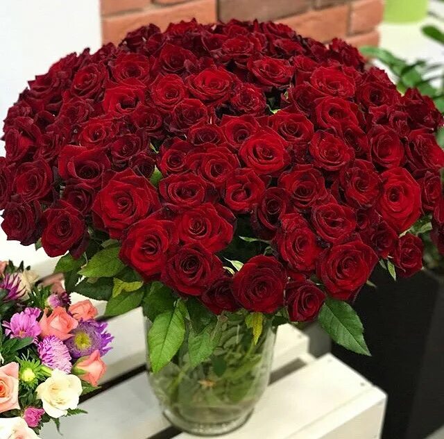 Букет роз ставрополь. Дали роза россия фото. Букет роз ставрополь. 101 розу на выписку. Розы ставрополь.