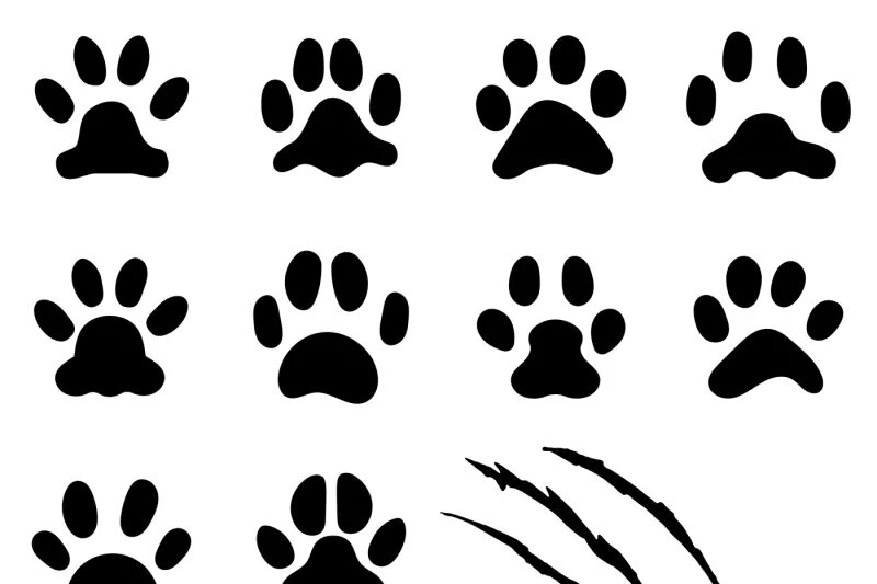 Pet paw. Трафарет лапки. Лапки для распечатки. Отпечаток кошачьей лапки. След лапы кошки.