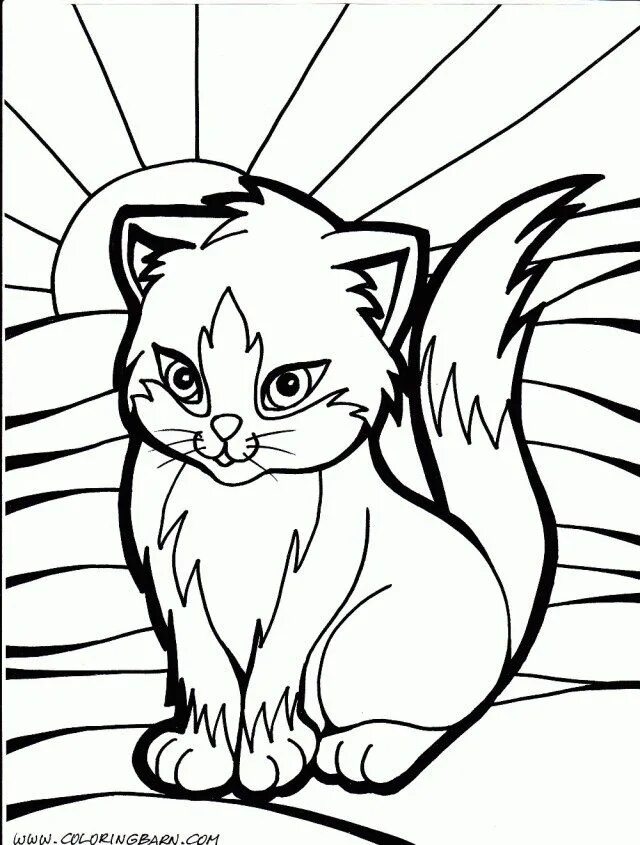 Cats page