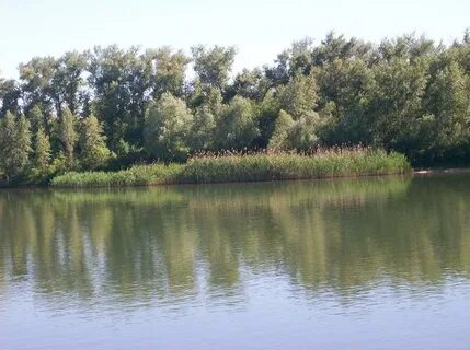 Лучка ростовская область