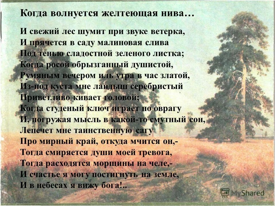 Стихотворение желтеющая нива анализ. М.Ю.Лермонтова "когда волнуется желтеющая Нива...". Стих когда волнуется желтеющая Нива. Стихотворение м.ю. Лермонтова "когда волнуется желтеющая Нива...". Когда волнуеться желтющя нив.