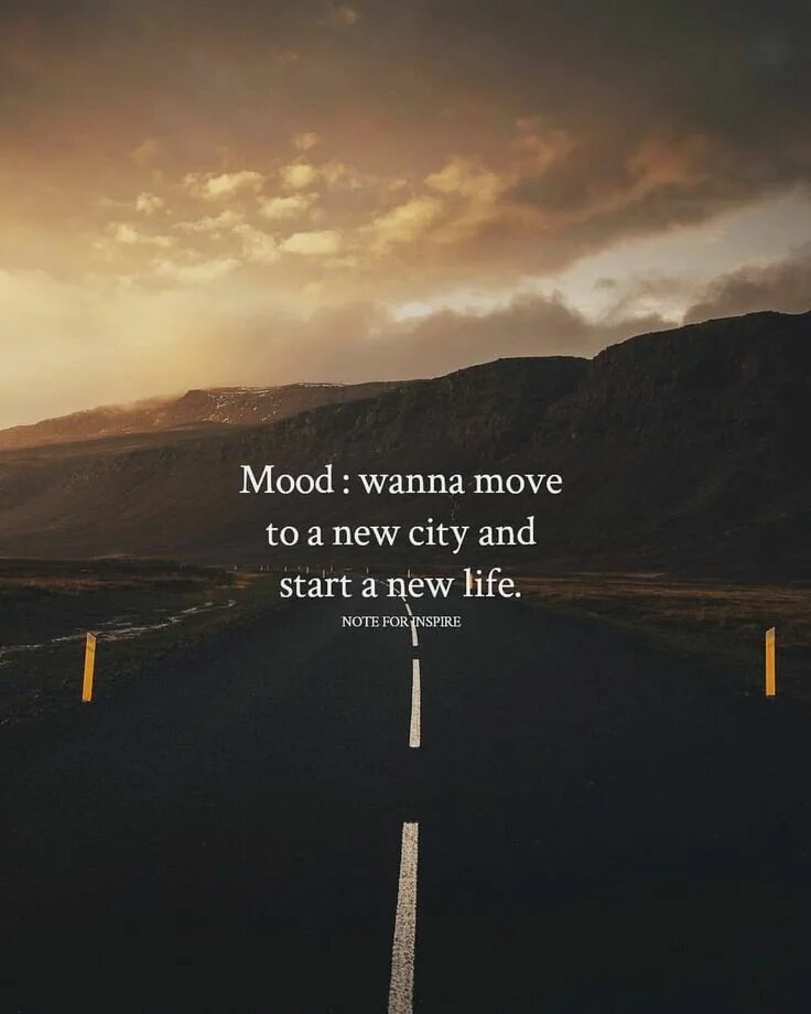 Мемы про настроение. Мой mood по жизни. Что значит муд по жизни. Фартук забавный. Мотивация вайб.