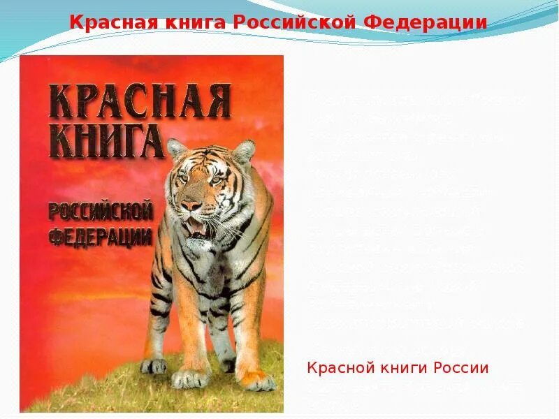 Сделать красную книгу 2 класс. Красная книга. Красная книга обложка. Обложка красной книги России. Красная книга России 4 класс.