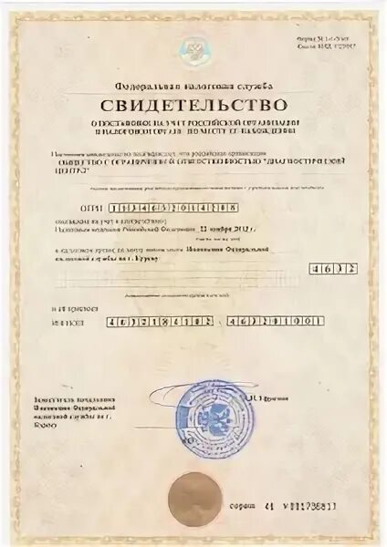 Ооо инн 7816515832. ИНН ООО Сэнтрал груп. Простые решения ООО ИНН 5405954004. 5190915500 ИНН ООО ТОПРЕСУРС. ИП Исаев МЕГАЗАЙМ ИНН номер (780)163-78-75 0 7.