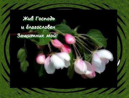 Стикеры с благословением. Благословений вам. жив господь. божьих благословений стикеры. стикеры с благословением господним.