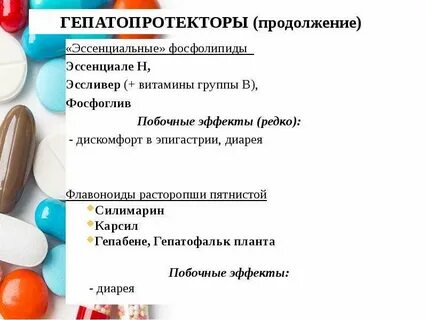 Гепатофальк планта
