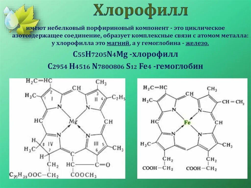 Строение пигментов. Магний хлорофилл б12. Порфириновое ядро хлорофилла. Химическая формула гемоглобина и хлорофилла. Структурная формула гемоглобина и хлорофилла.