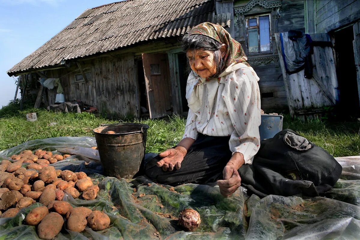 Почему плохой урожай. Плохой урожай. плохой урожай картошки. неурожайный год. засуха неурожай.