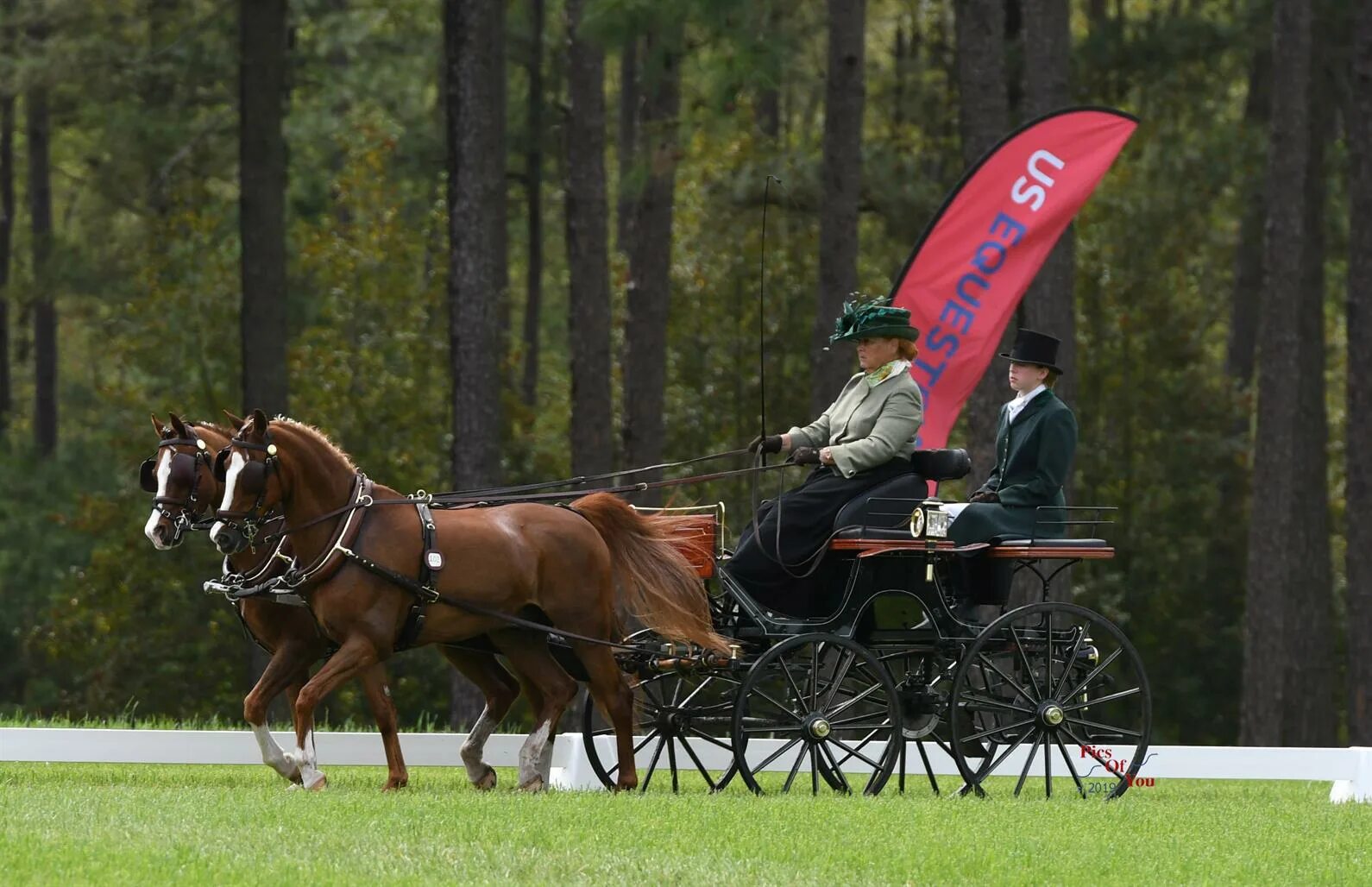 Driving horse