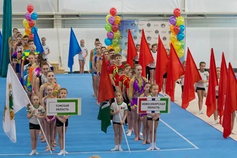 Гимнастика новосибирск соревнования