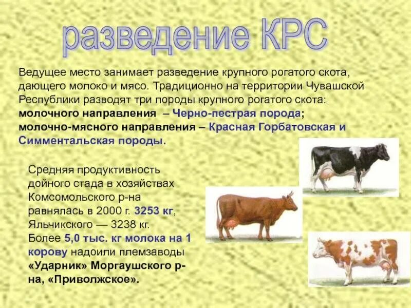 Где разводят животных