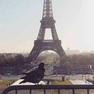 He lives paris