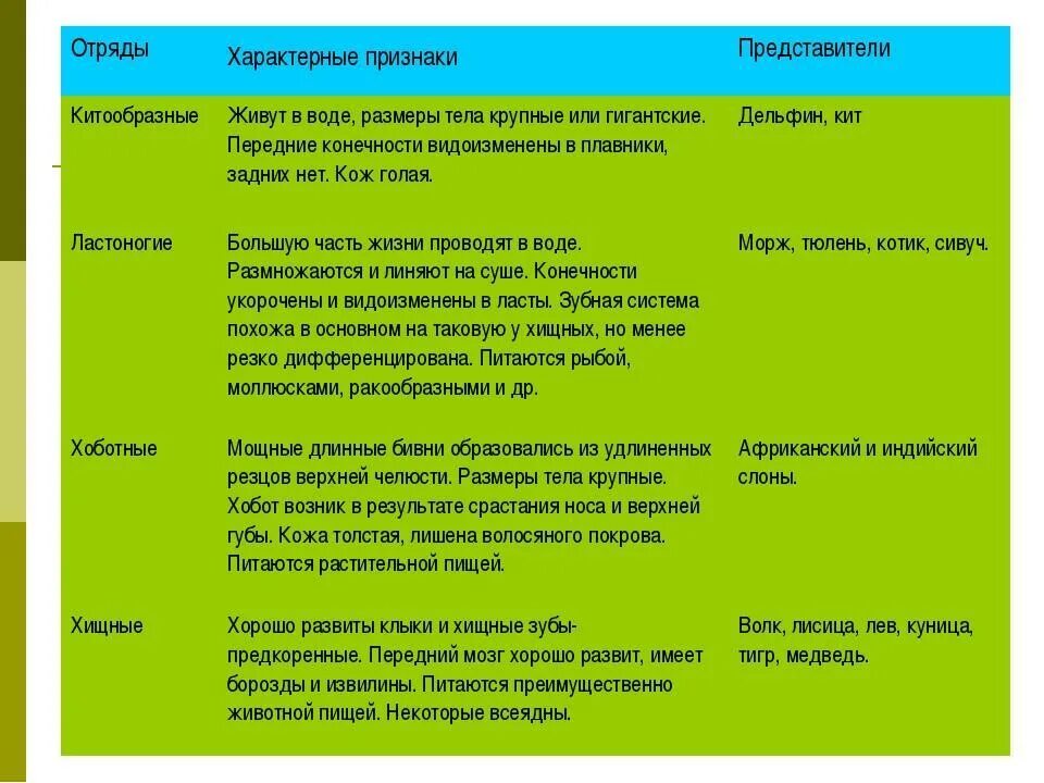 Таблица класс представители особенности значения. Млекопитающие характерные признаки отряды представители таблица. особенности отрядов млекопитающих таблица. отряды млекопитающих таблица 7 класс биология. отряд млекопитающих таблица 7 класс биология представители отрядов.