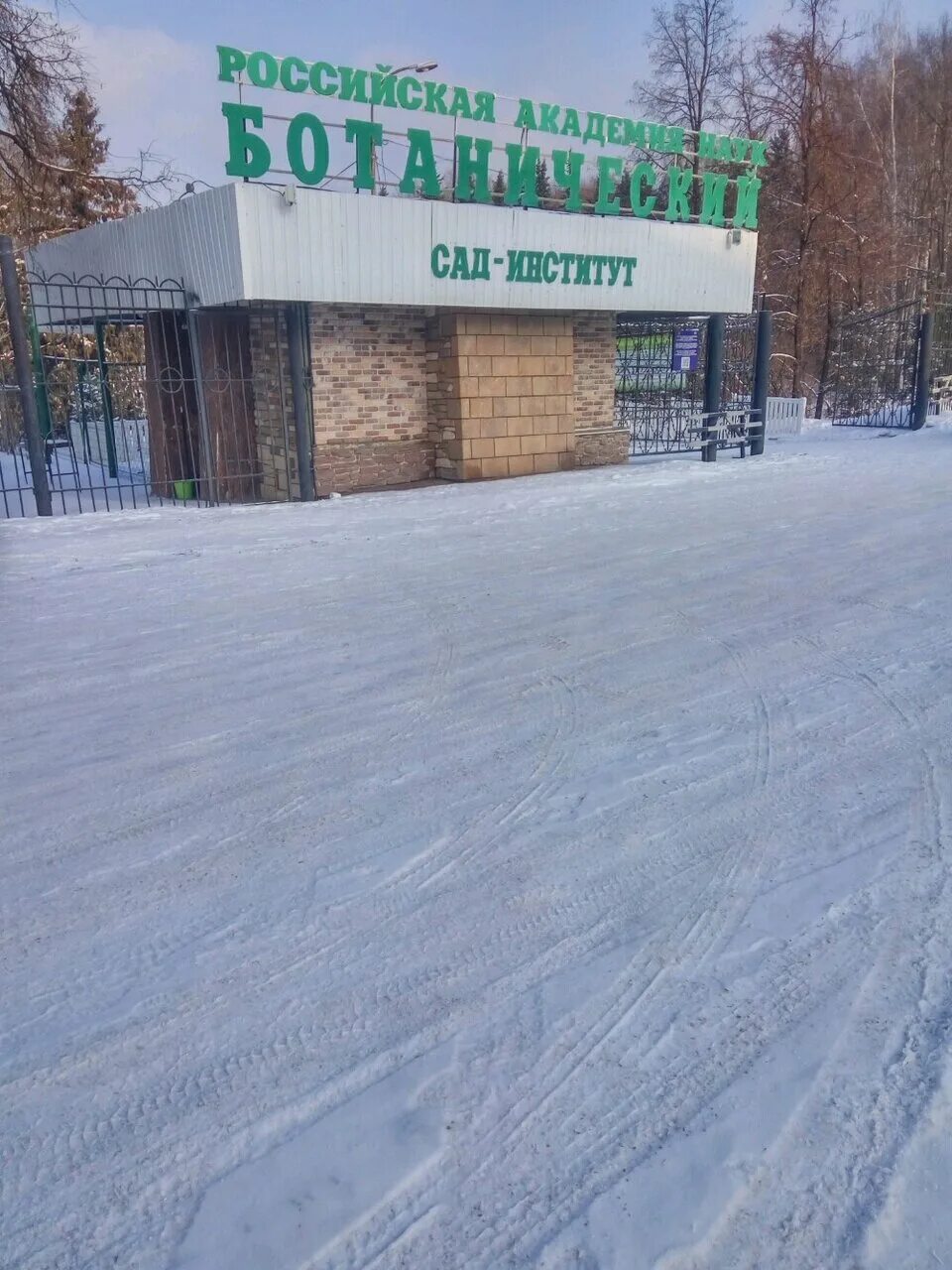 Файл:Уфимский Ботанический Сад.jpg - Википедия