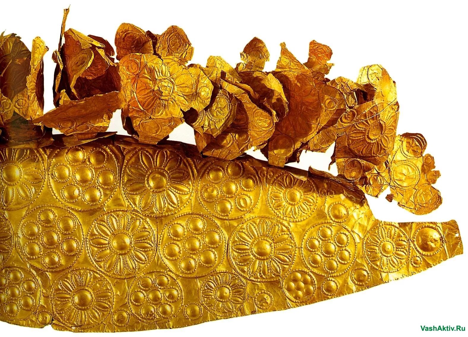 древнейший листовой. жилка у растений. Acer platanoides 'stollii'. гербарий 5 класс биология. жилка листа.