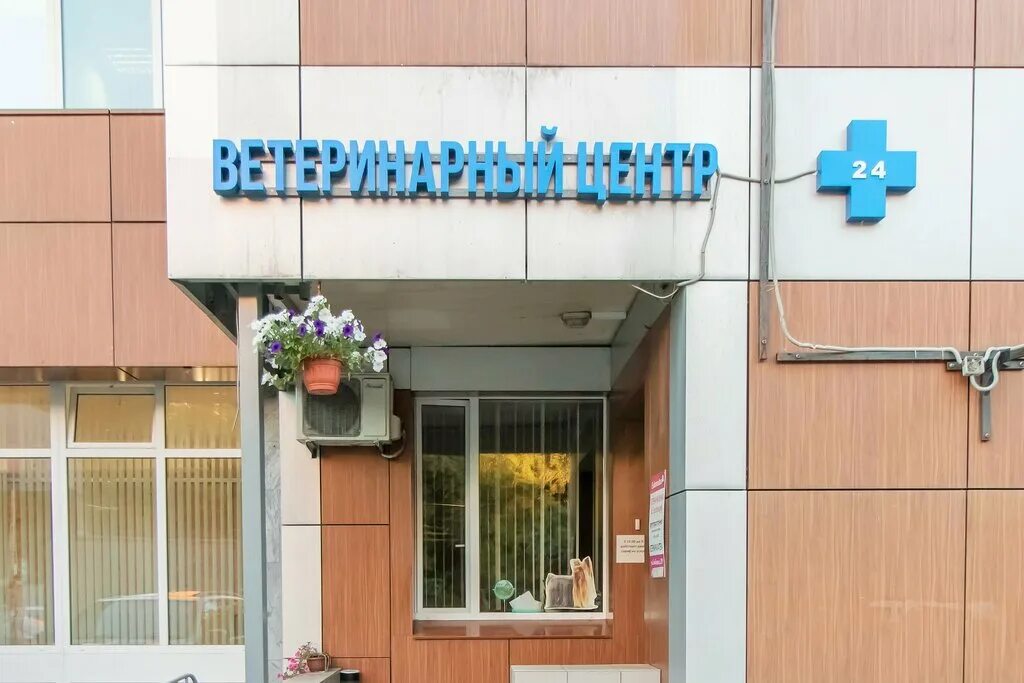 К-9 вет. Ветклиника тушино цветочный. Ветклиника к-9 героев панфиловцев. Ветклиника тушино цветочный. Ветклиника цветочный проезд телефон регистратуры.